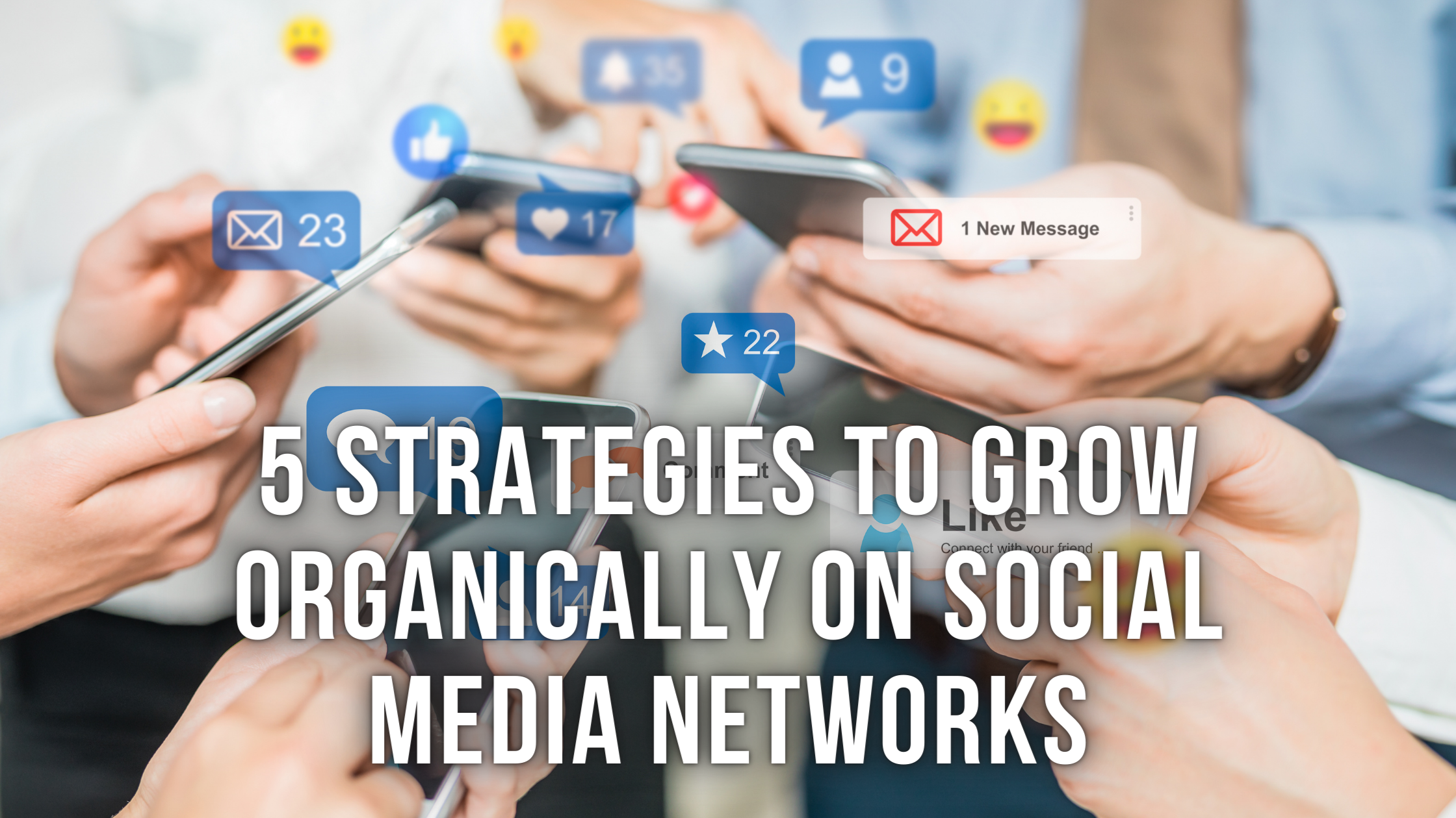 5 Strategies to Grow Organically on Social Media Networks