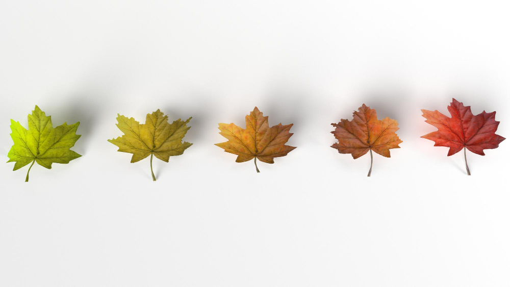 5 Autumn Content Ideas for Small Businesses