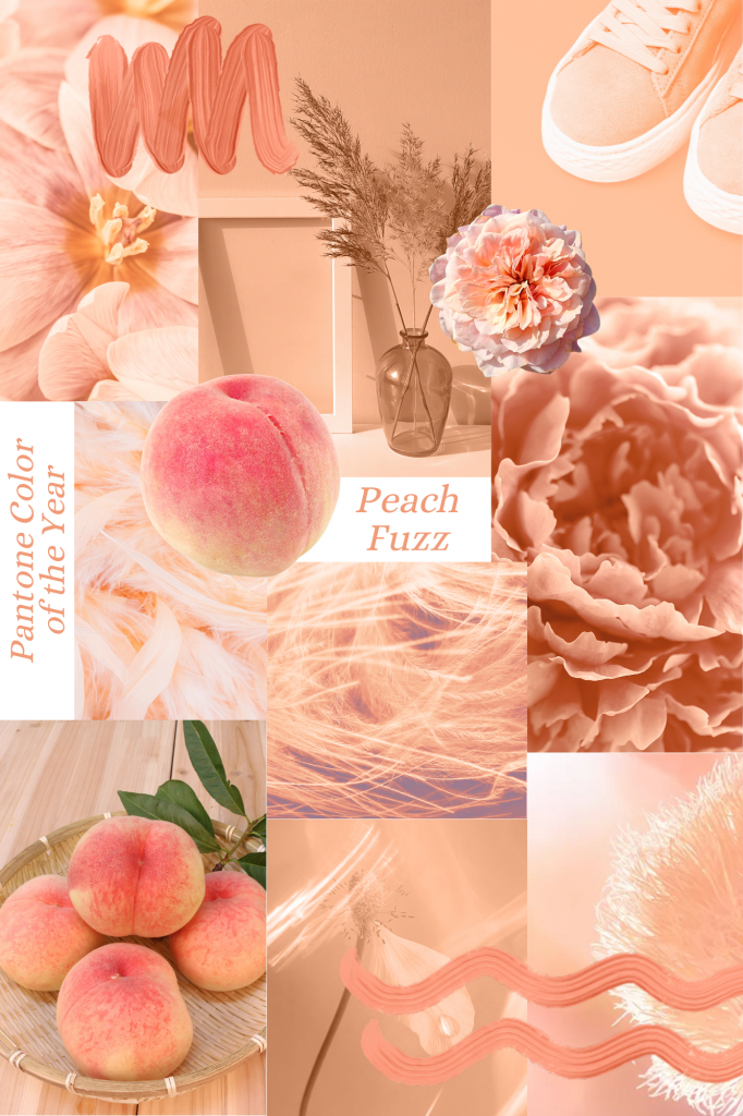Pantone Color of the Year Peach Fuzz Collage